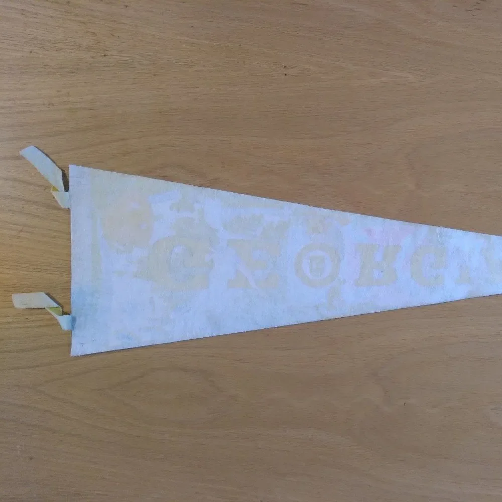 Vintage 60s Georgia Peach State Neon Pennant Flag